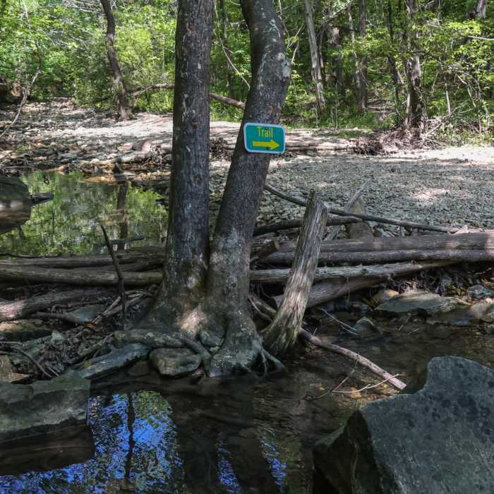 Near Waterfall Trail Near Waterfall Trail