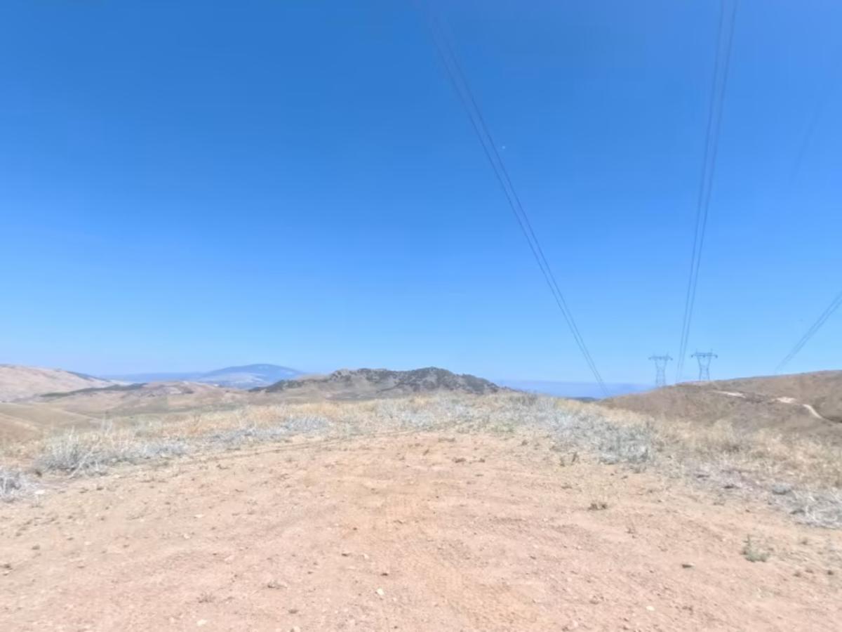 Powerline Road photo 3