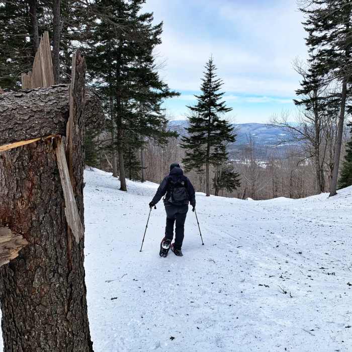 Near Sunapee-Ragged-Kearsarge Greenway:  Section 9