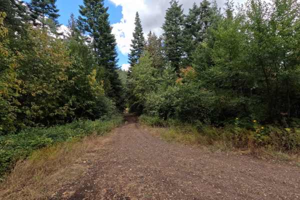 Ojibway Ridge - FS 1109