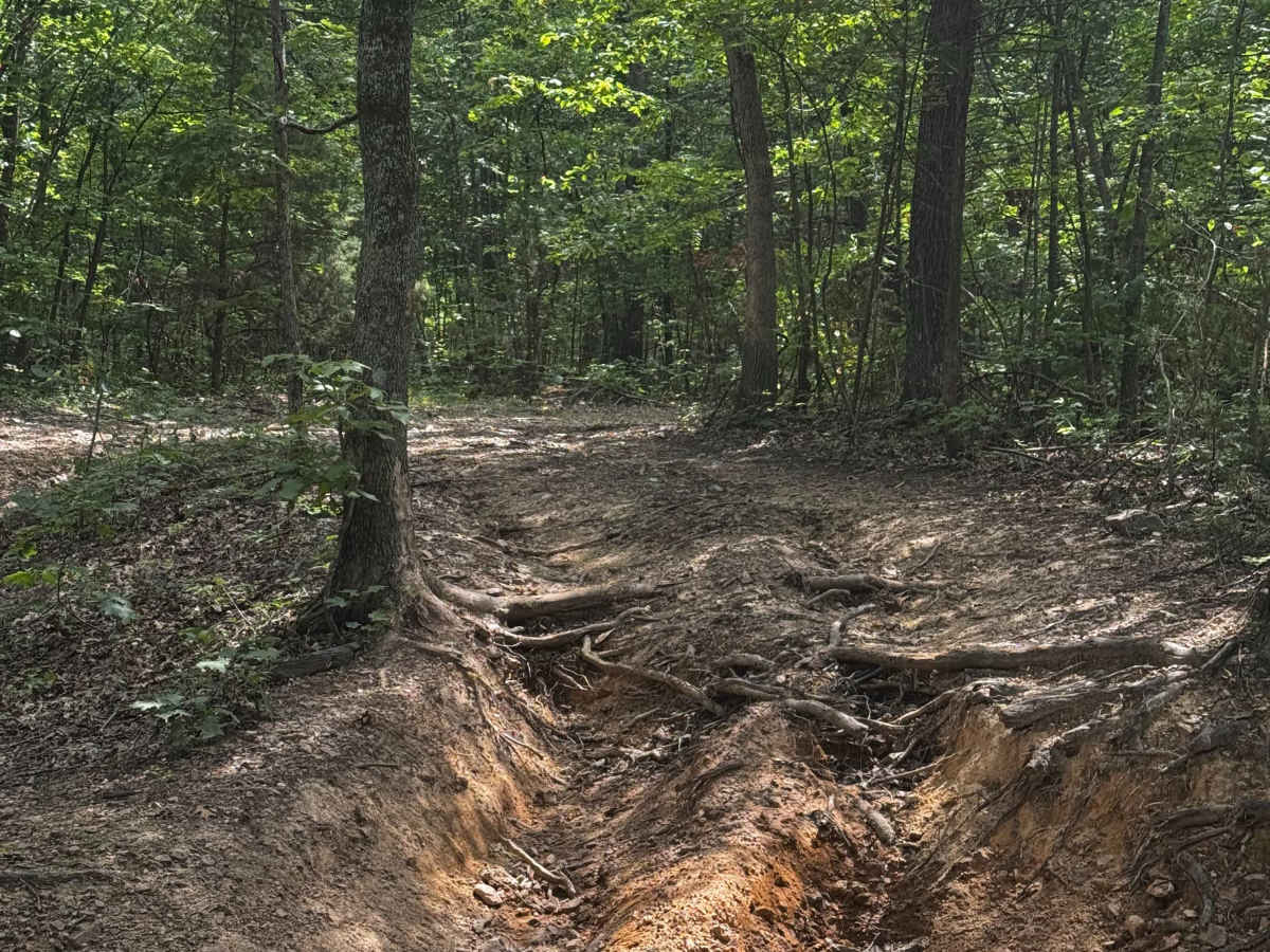 Happy Hollow  photo 3