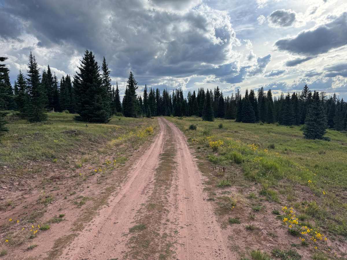 Divide Road photo 4