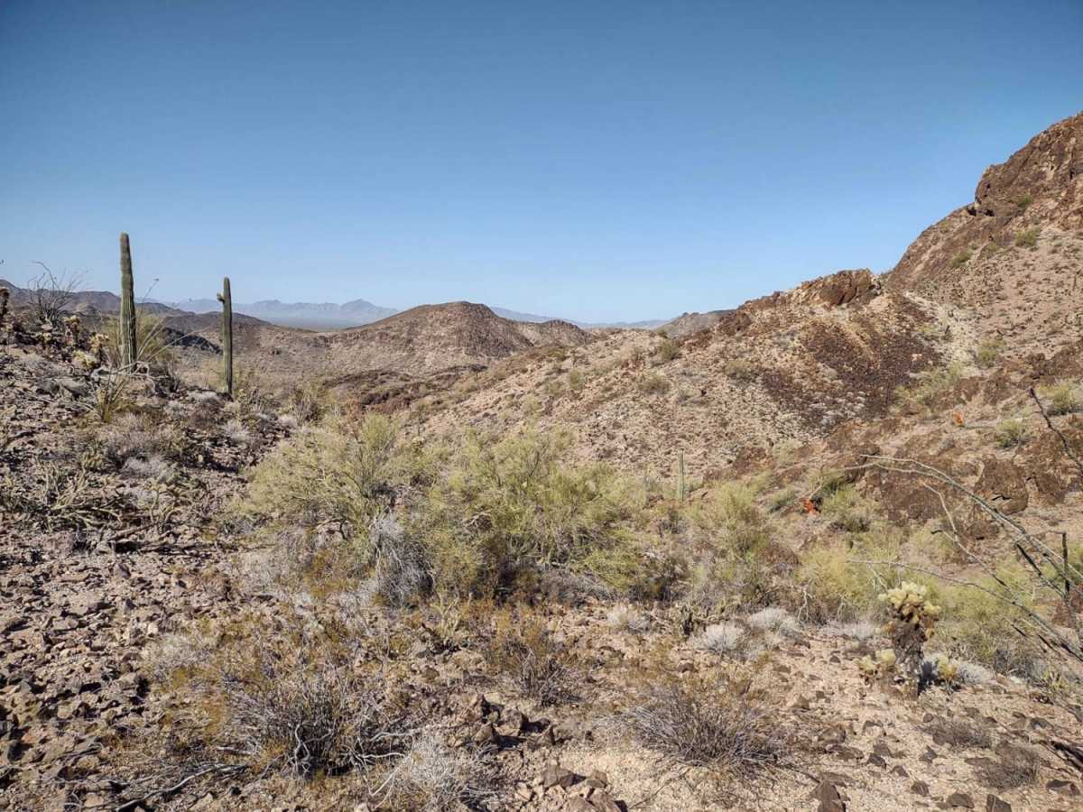 Rockin' Ram Trail - Southern Section trail photo