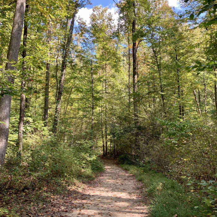 Near Twin Falls Near Twin Falls