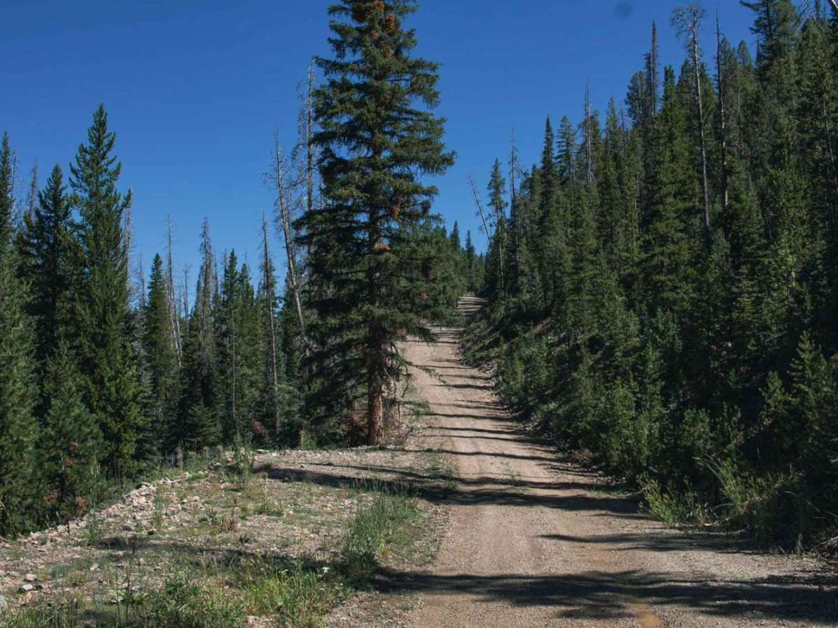 Bison Mountain photo 4