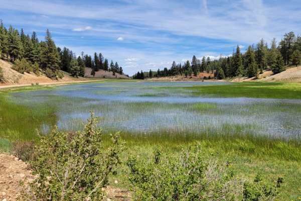 Swains Creek