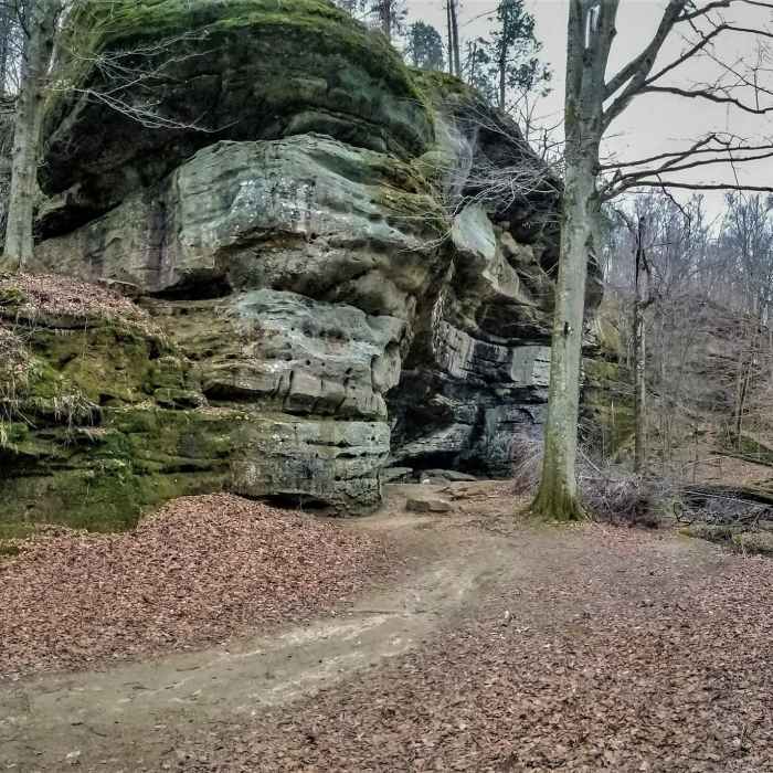 Ox Lot Cave. It's just a big overhang shelter but very cool to see. Near Rim Rock/Pounds Hollow Out and Back