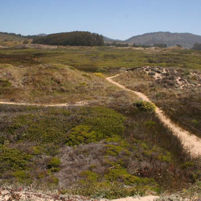 Near Franklin Point Trail