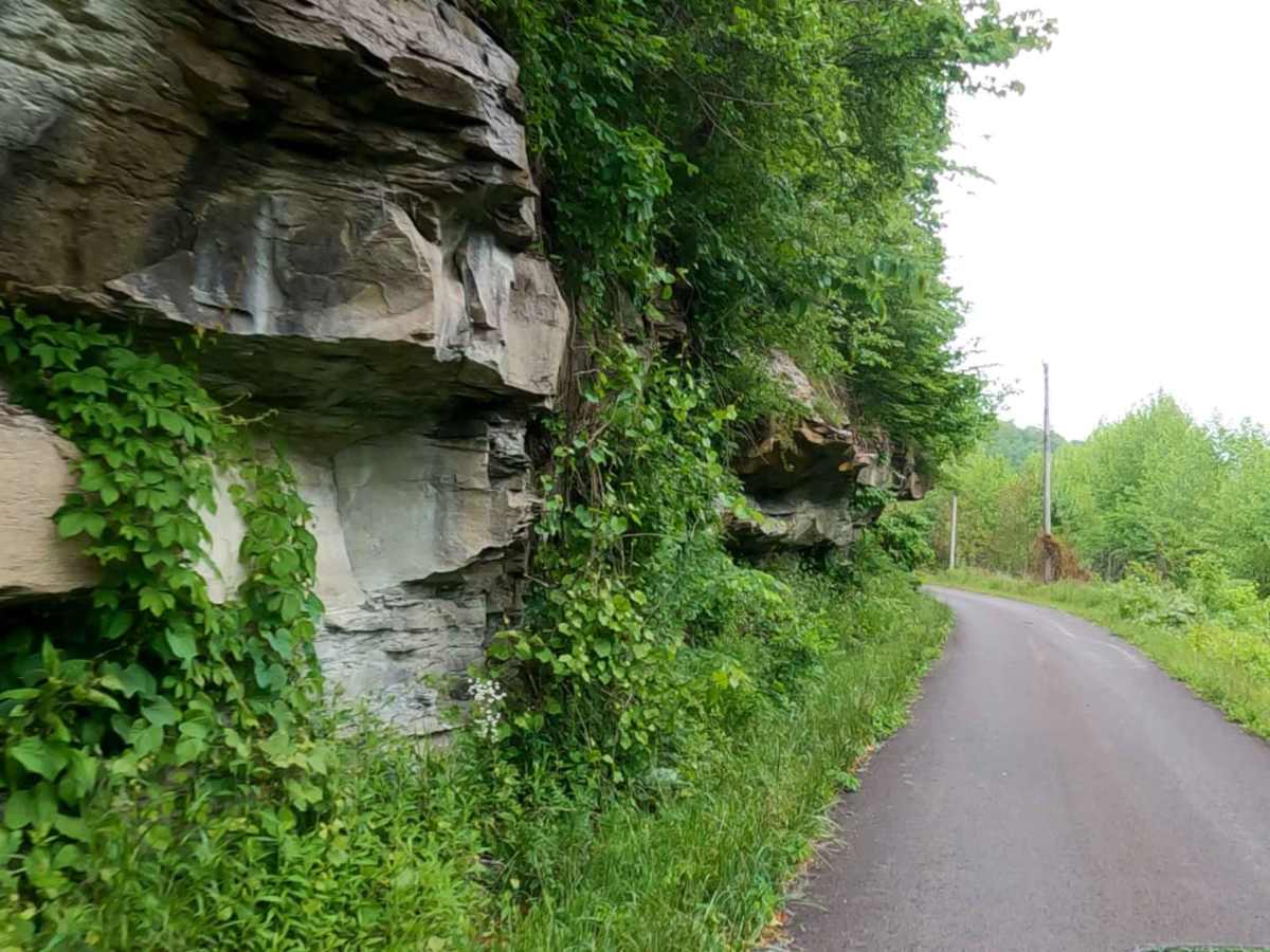 Myers Fork Road photo 4