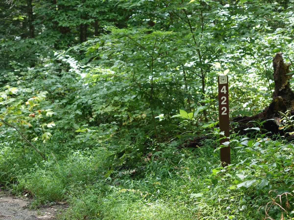 Hurricane Gap trail photo