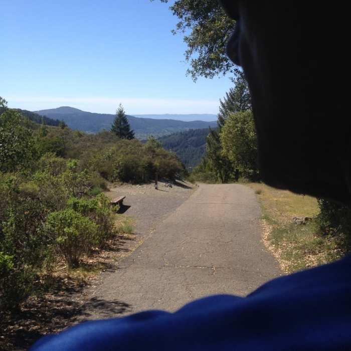 Near Bald Mountain Trail