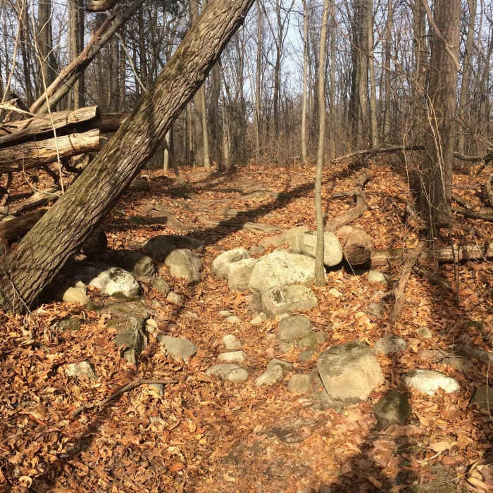 Near Highland State Recreation Area