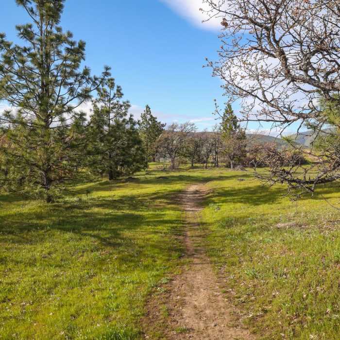 Near Chenoweith Tableland Loop