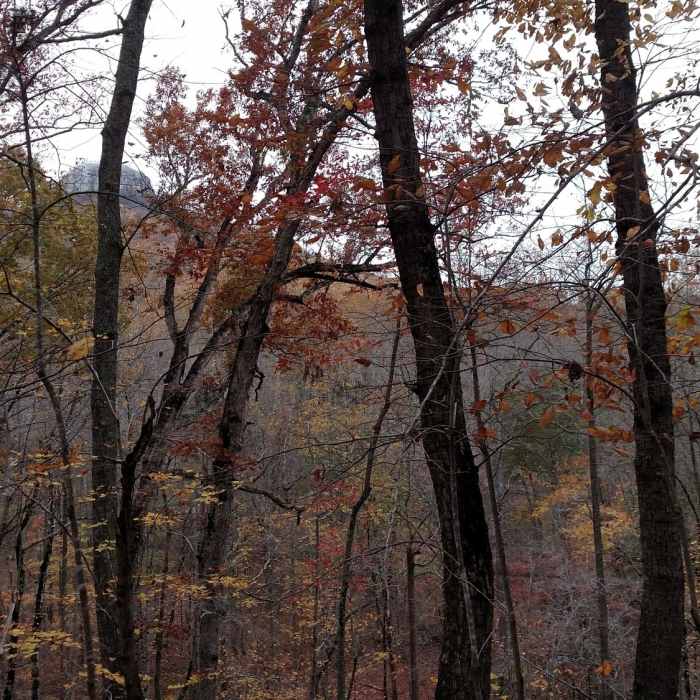 Pilot Mountain viewed from Grassy Ridge Trail Near Grassy Ridge Trail