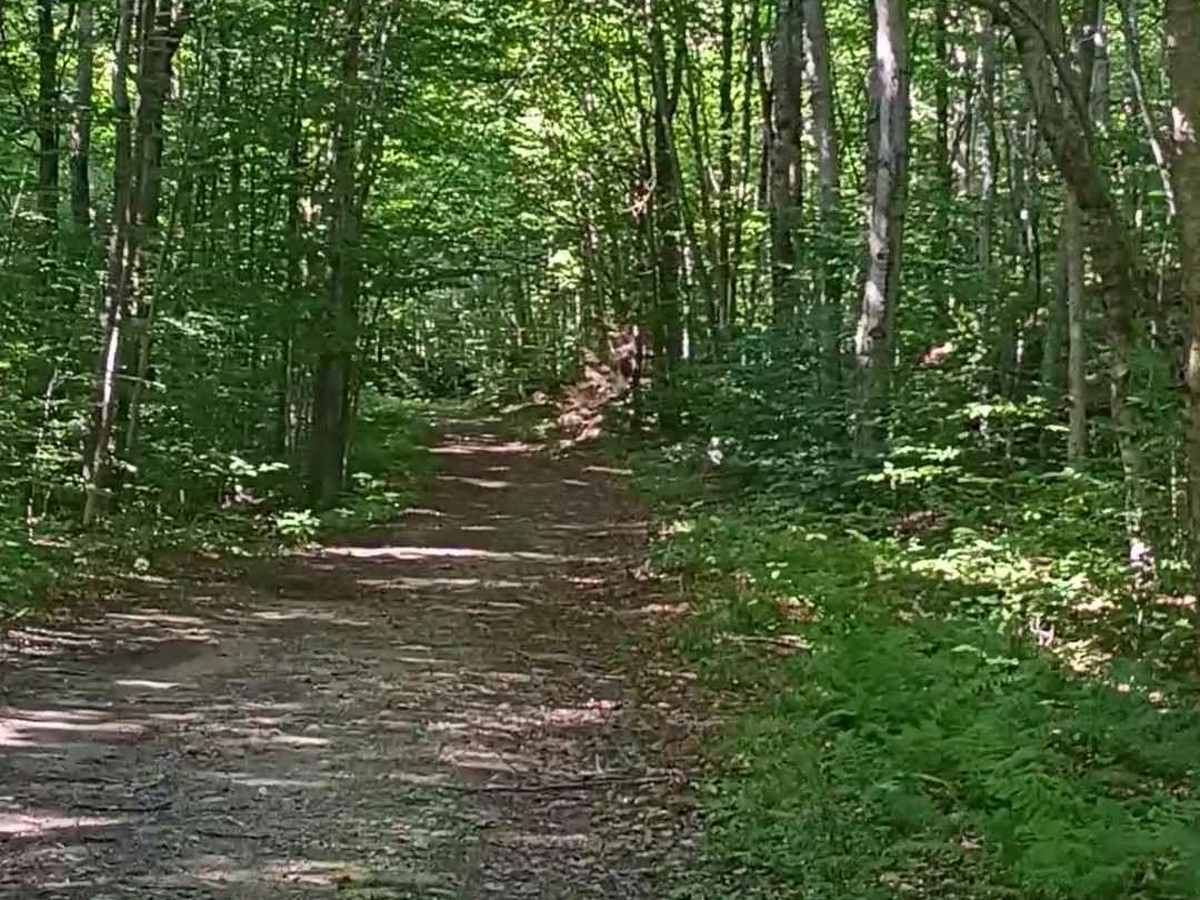 Lincoln Gap Trail photo 3