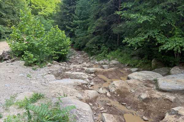 Lower Rock Garden