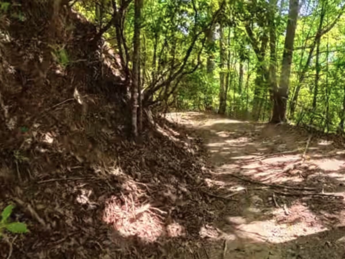 Chester Knob Lower Trail photo 4