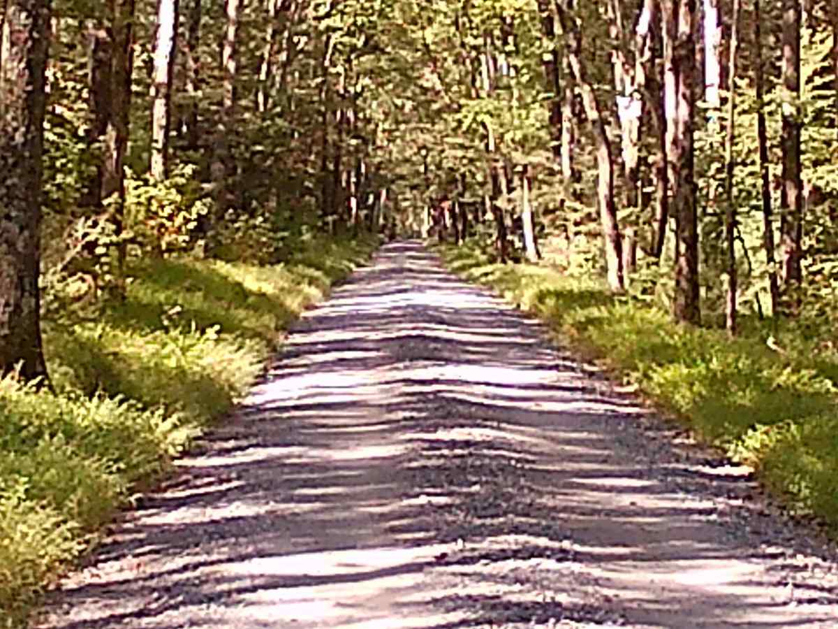 Swift Run Road photo 6