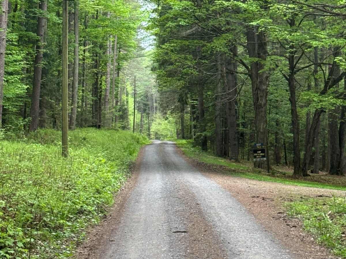Lebo Road photo 3
