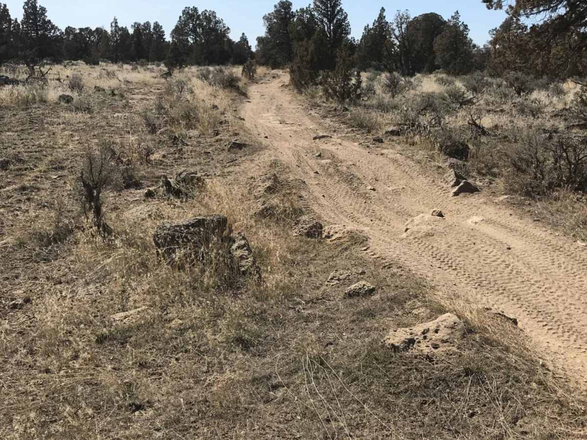 Millican Plateau Trail 82 photo 2
