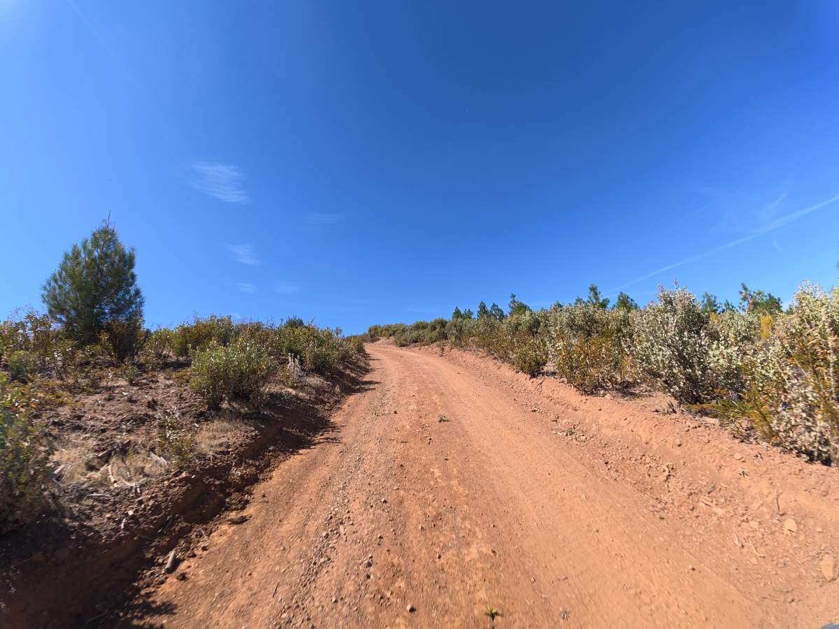 FS 1S25Y photo 2