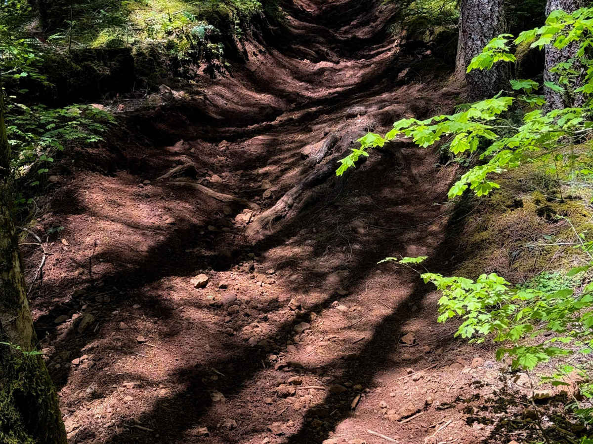 102 trail photo