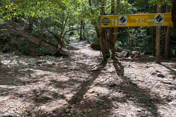 Trail 7 FFAT Boneyard