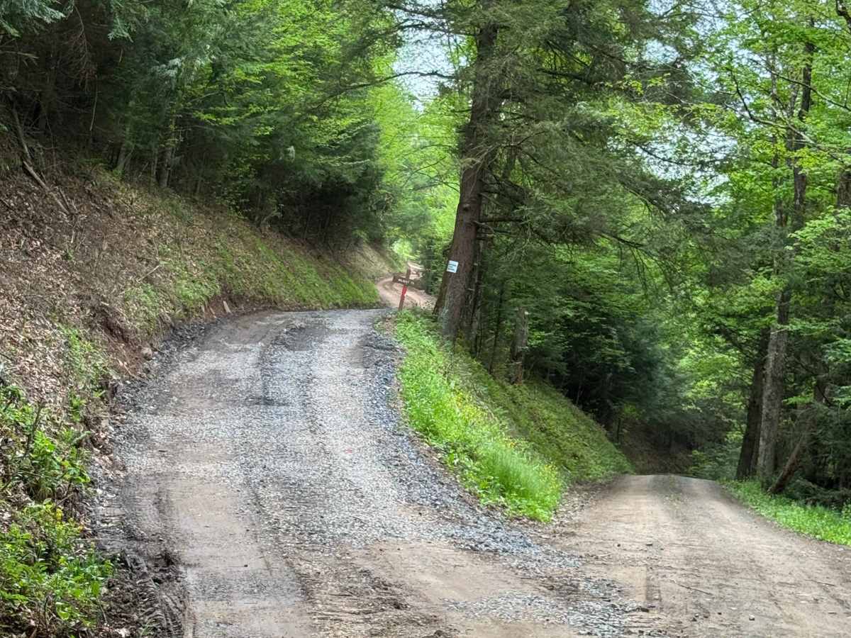 Wildcat Trail photo 2