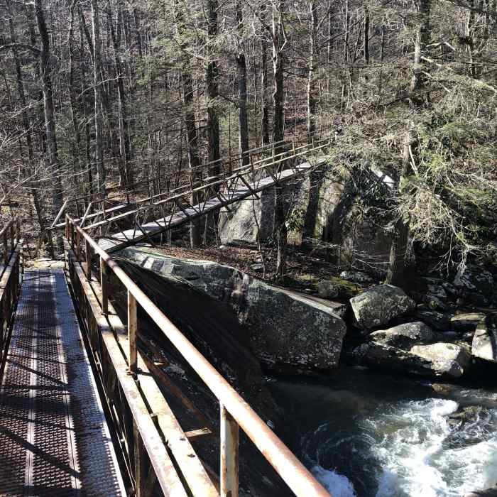 Near Laurel Falls and Buzzard Point