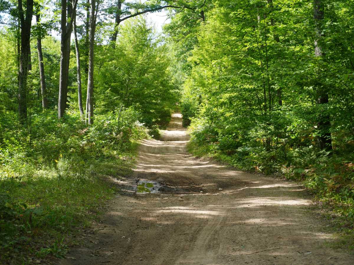 Southlook Trail photo 2