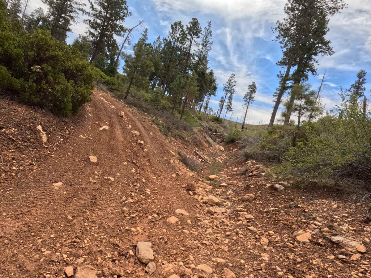 Ingram Hollow - FS 31129 trail photo