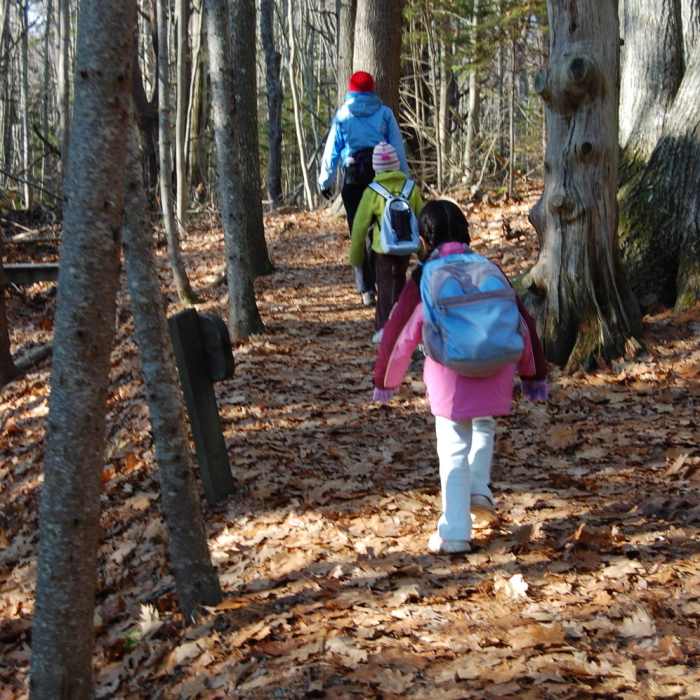 Wolfe's Neck Woods Near Wolf Necks Woods Loop