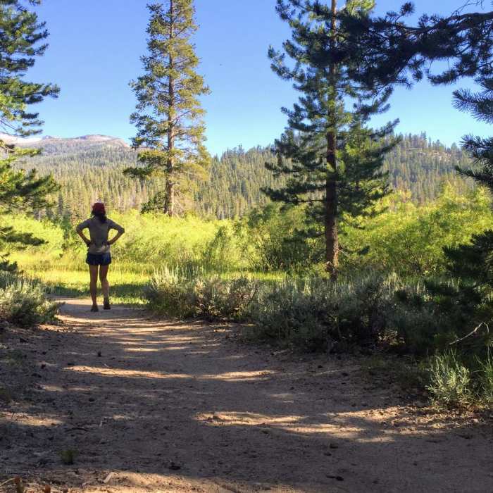 Near Tahoe Rim Trail: Big Meadow To Echo Lake