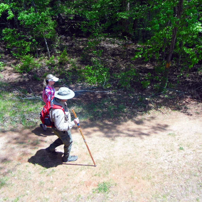Near The Blue Trail at Sweetwater Creek
