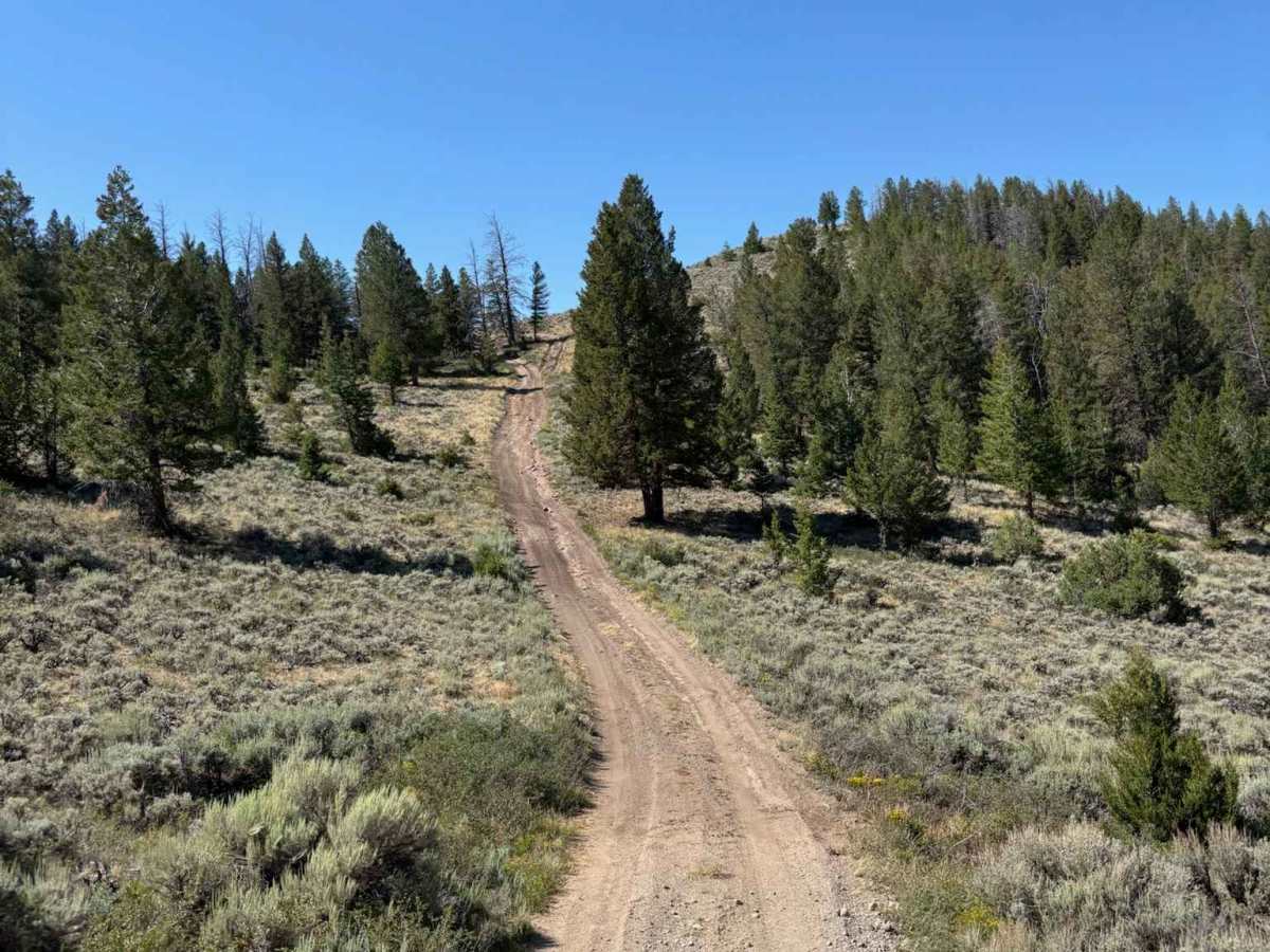 Northern Little Wolford Mountain photo 6