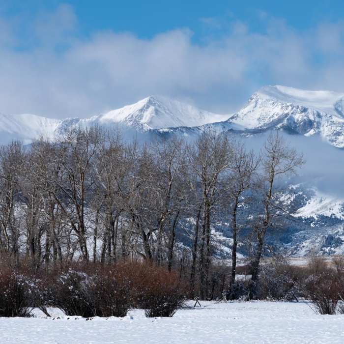 Near Hollowtop Mountain Near Hollowtop Mountain