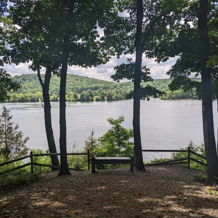 Near Claytor Lake Trail