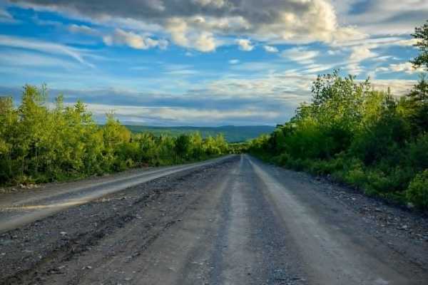 Knoll Spruce River Road