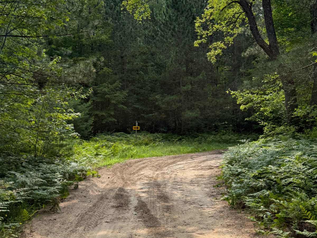 TR Trail photo 5