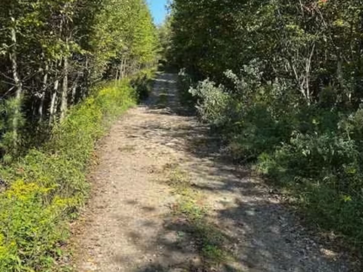 Picketville Road photo 6