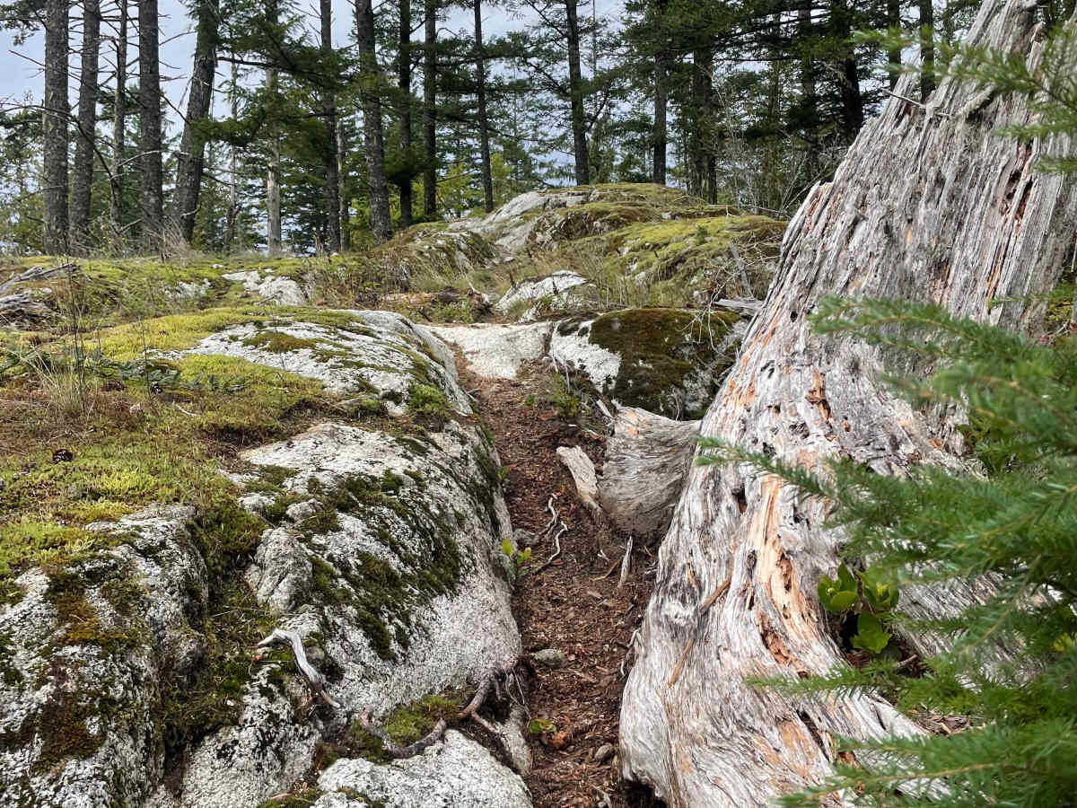 Dragon's Breath trail photo