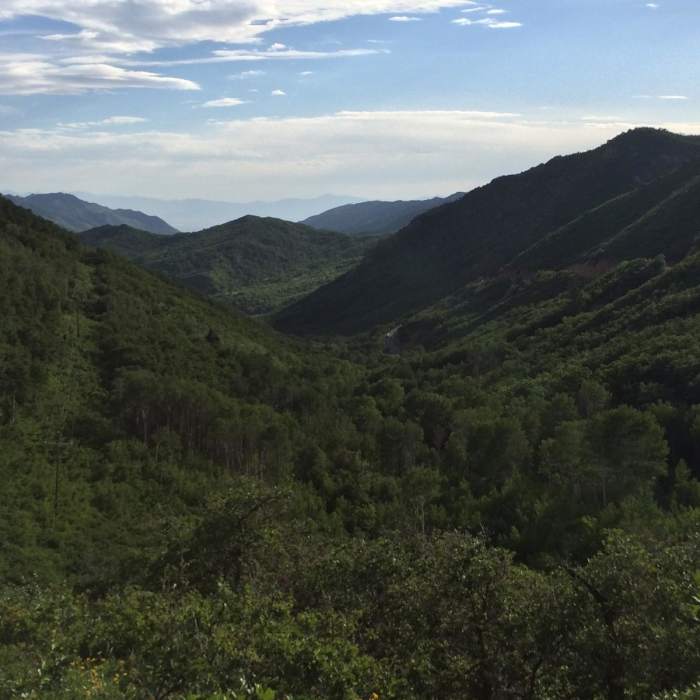 Near Big Mountain Pass: Short Climb