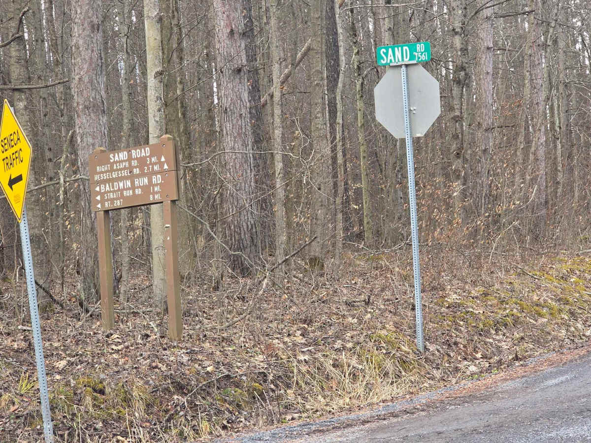 Sand Road trail photo