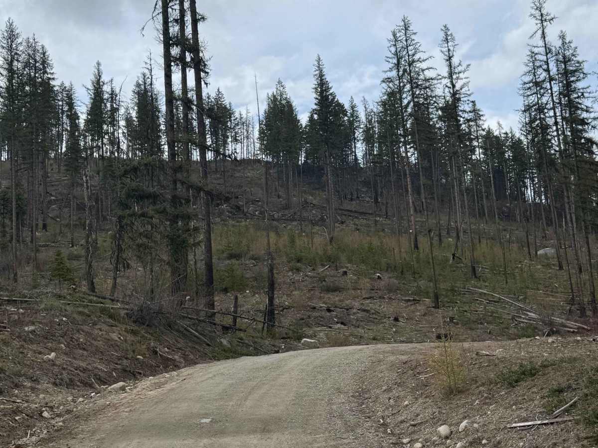 Goat Creek - FS 6100-215 trail photo