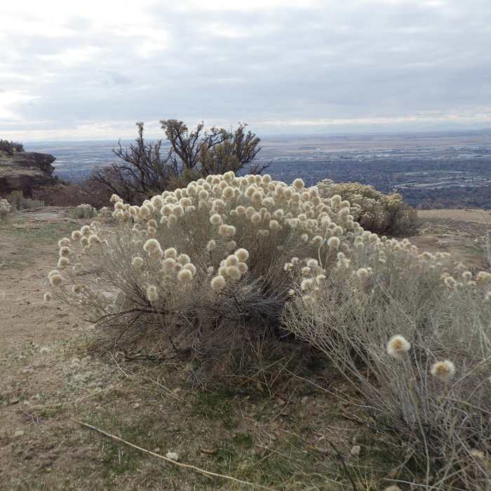 Near Table Rock Quarry Trail - Trail #17