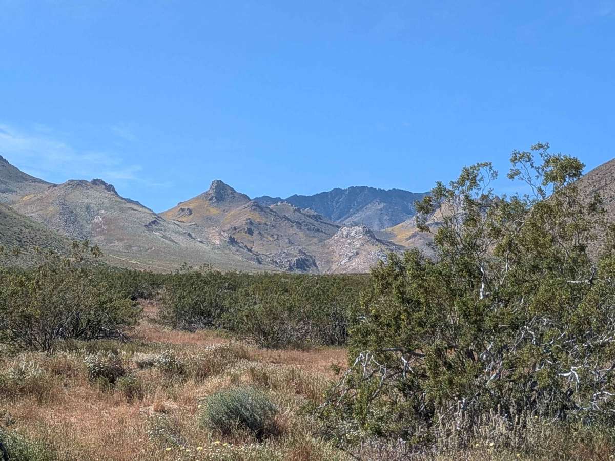 BLM LAP Grapevine Canyon photo 6