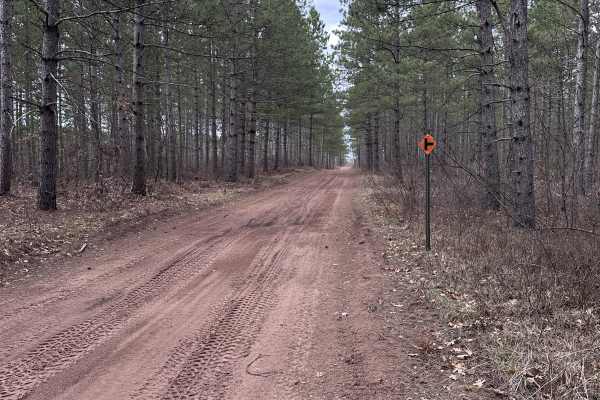 Doc's Trail
