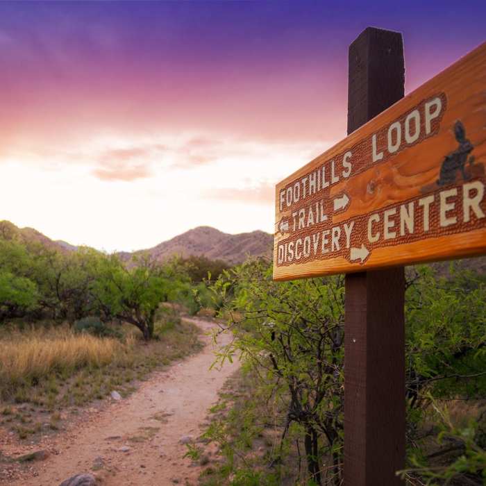 Near Foothills Trail