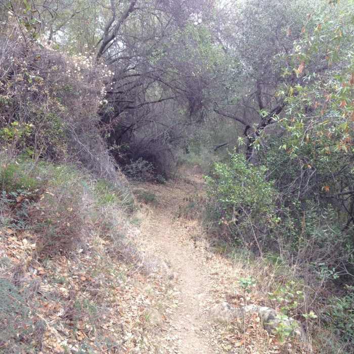 Near Arroyo Burro Trail