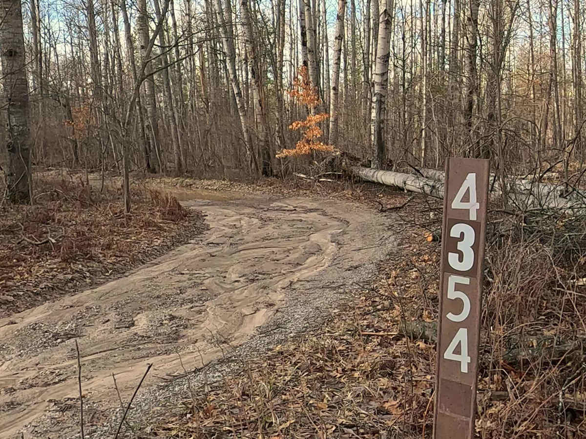 FS 4354 trail photo